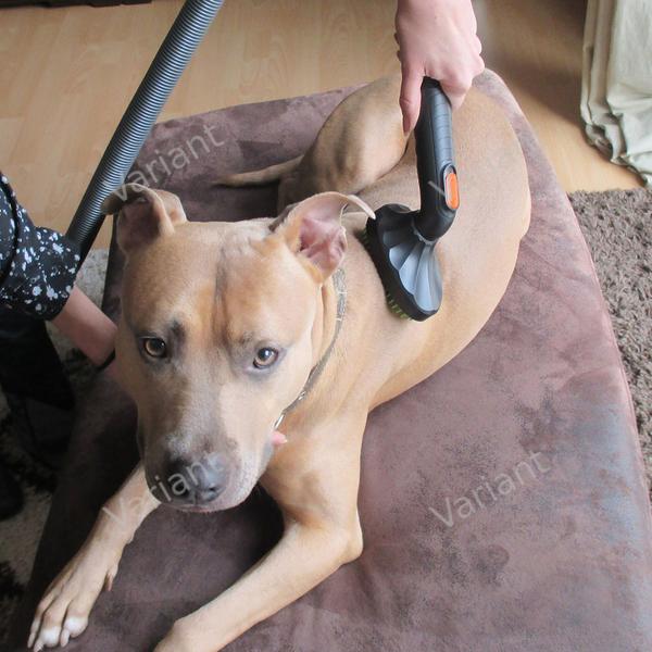 Pet brush - Wessel-Werk