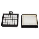 Filtre plissé plat - Bosch/Siemens Dynapower/Ergomaxx - HEPA - poly-sac