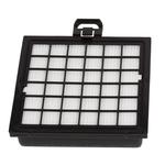 Filtre plissé plat - Bosch/Siemens Dynapower/Ergomaxx - HEPA - poly-sac